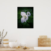 Wild Violet Flower Photographic Art Print Portret (Keuken)