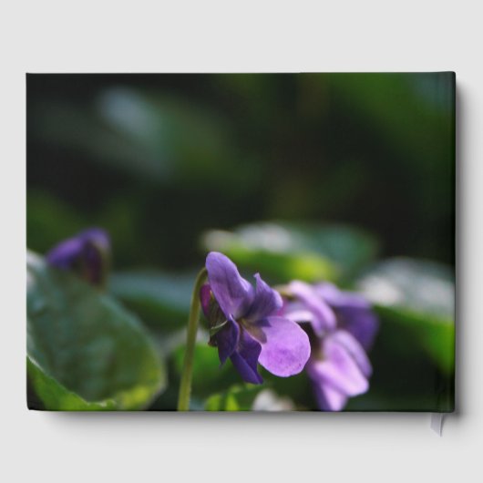 Wild Violets Bloemen Foto Memorial Gastenboek (Achterkant)