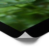 Wild Violets Floral photography Poster (Hoek)