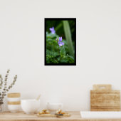 Wild Violets Floral photography Poster (Keuken)