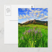 Wild voor jou briefkaart (Voorkant / Achterkant)