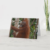 Wild voor jou Valentijn Mohawk Hairdo Feestdagen Kaart (Voorkant)