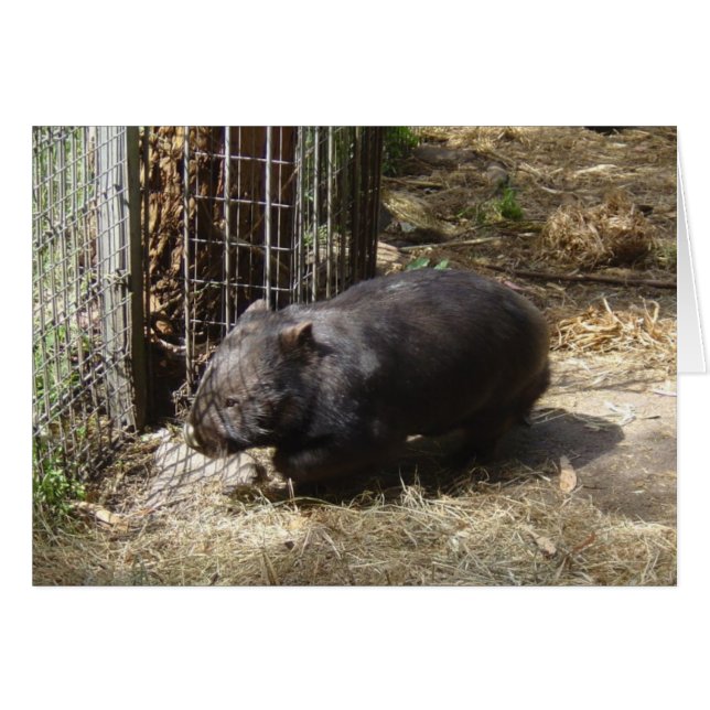 Wild voor vrouwen (Voorkant Horizontaal)