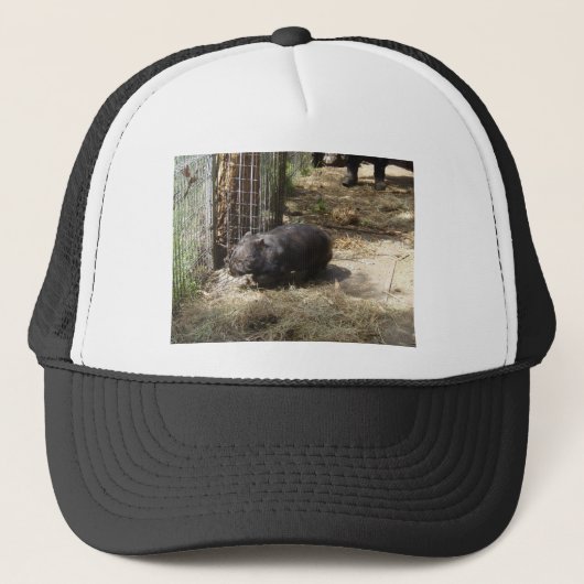 Wild voor vrouwen trucker pet (Voorkant)