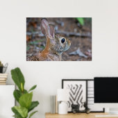 Wild Vrouw Eastern Cotton Rabbit Poster (Thuiskantoor)