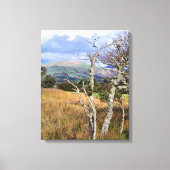 WILD WALES CANVAS AFDRUK (Voorkant)