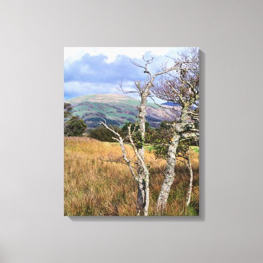 WILD WALES CANVAS AFDRUK (Voorkant)