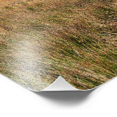 WILD WALES FOTO AFDRUK (Hoek)