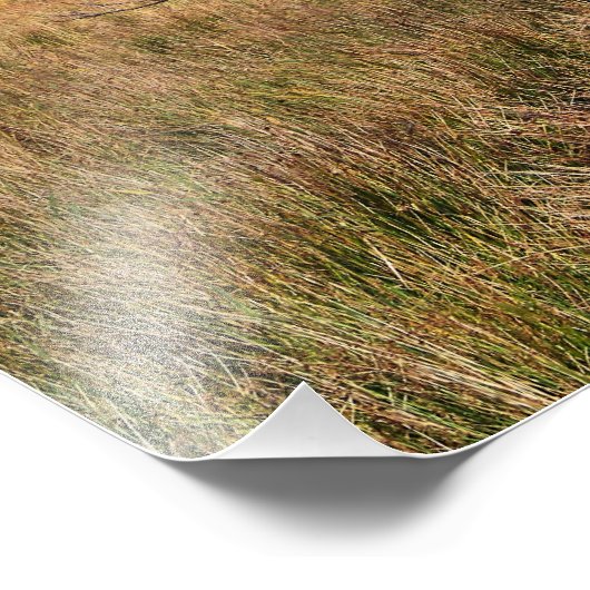 WILD WALES FOTO AFDRUK (Hoek)