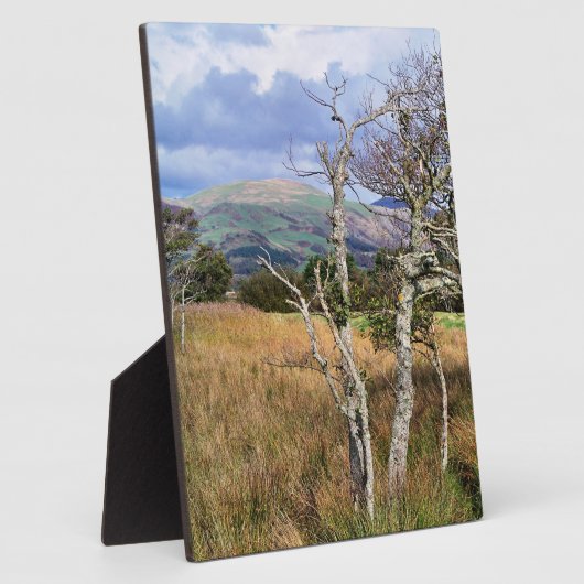 WILD WALES FOTOPLAAT (Zijkant)