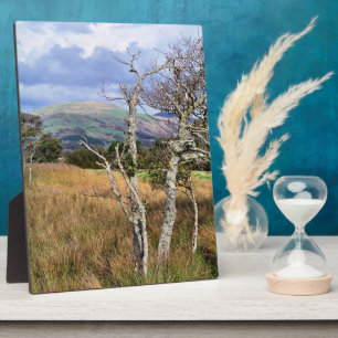 WILD WALES FOTOPLAAT