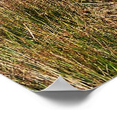 WILD WALES POSTER (Hoek)