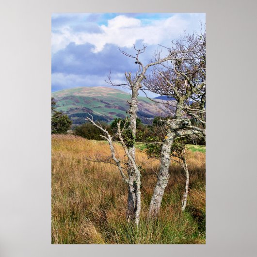 WILD WALES POSTER (Voorkant)