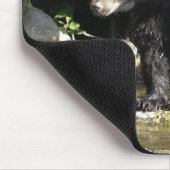 WILD WARRIORS Zwart Beer Foto Collectie Muismat (Hoek)