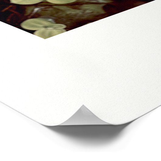 Wild Water Lily Floating Lily Pads Foto in ingelij Poster (Hoek)