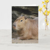 Wild Wenskaart Capybara Kaart (Gele Bloem)