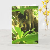Wild Wenskaart Coati Kaart (Gele Bloem)