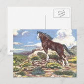 wild west 4 briefkaart (Voorkant / Achterkant)