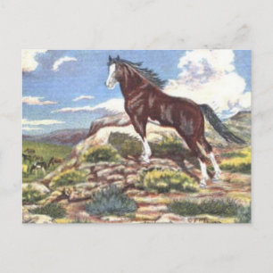 wild west 4 briefkaart