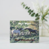 Wild West Colorado Funny Briefkaart (Staand voorkant)