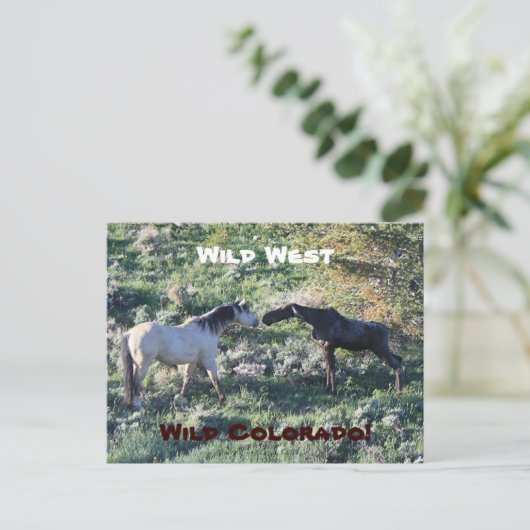 Wild West Colorado Funny Briefkaart (Staand voorkant)