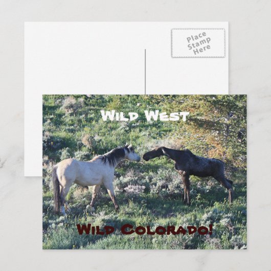 Wild West Colorado Funny Briefkaart (Voorkant / Achterkant)