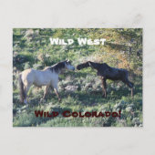Wild West Colorado Funny Briefkaart (Voorkant)
