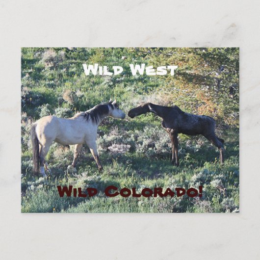 Wild West Colorado Funny Briefkaart (Voorkant)