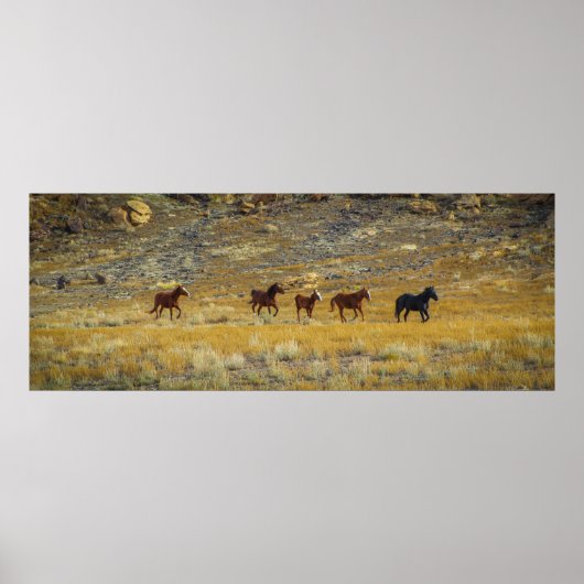 Wild West Poster (Voorkant)