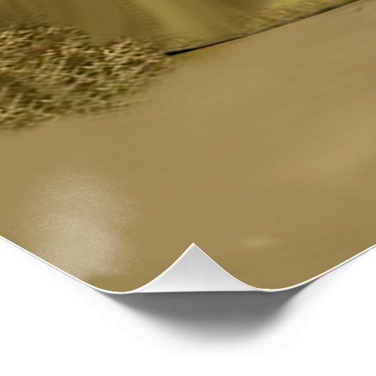 WILD WEST-UITDAGING PERFECT POSTER (Hoek)