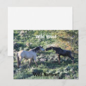 Wild West Wild Natuur Funny Horse and Moose Briefkaart (Voorkant / Achterkant)