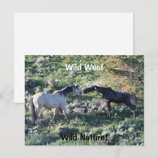 Wild West Wild Natuur Funny Horse and Moose Briefkaart (Voorkant / Achterkant)