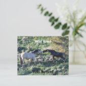 Wild West Wild Natuur Funny Horse and Moose Briefkaart (Staand voorkant)
