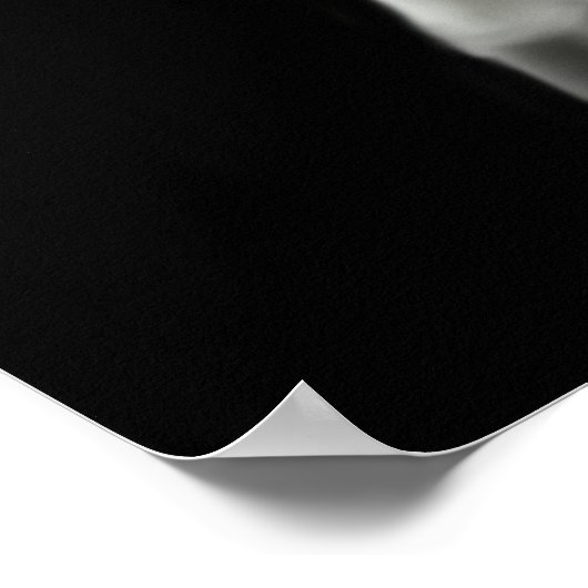 Wild White Horse Poster (Hoek)