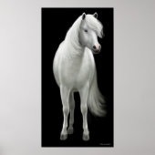 Wild White Horse Poster (Voorkant)