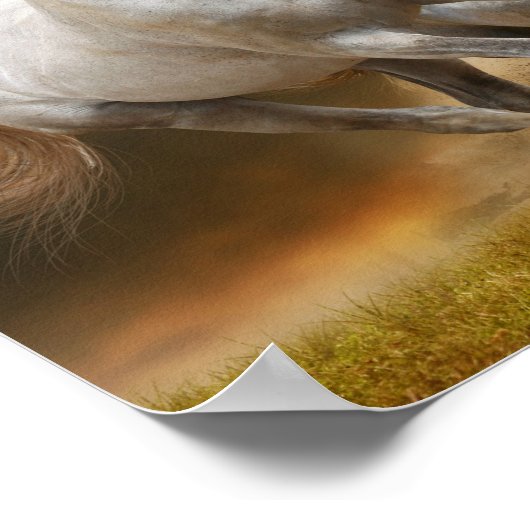 Wild White Horses Poster (Hoek)