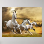 Wild White Horses Poster (Voorkant)