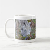 Wild White New Forest Pony Grazing op Bracken Koffiemok (Links)