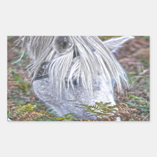 Wild White New Forest Pony Grazing op Bracken Rechthoekige Sticker