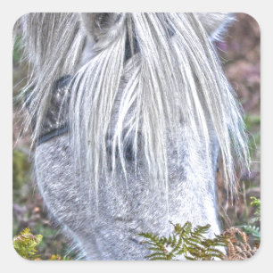 Wild White New Forest Pony Grazing op Bracken Vierkante Sticker