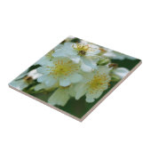 Wild White Rambling Roos Flowers Natuur Tegeltje (Zijkant)