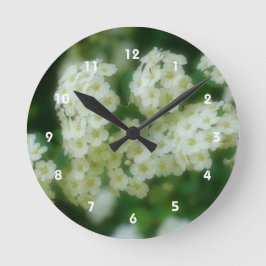 Wild White Rambling Roses Flower Ronde Klok