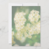 Wild White Rambling Rozen Floral Party Kaart (Achterkant)