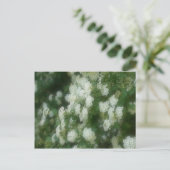 Wild White Rambling Rozen Flowers Briefkaart (Staand voorkant)
