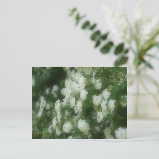 Wild White Rambling Rozen Flowers Briefkaart (Staand voorkant)