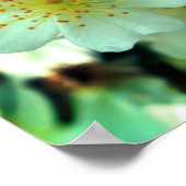 Wild White Rambling Rozen sluiten dicht Poster (Hoek)