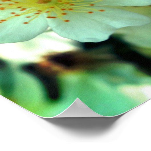 Wild White Rambling Rozen sluiten dicht Poster (Hoek)