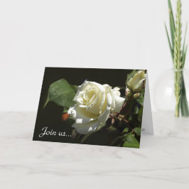 Wild White Rose Wenskaarten