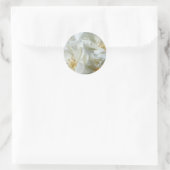 Wild White Roses floral photography Sticker (Tas)