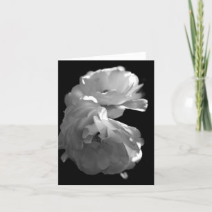 Wild White Roses Sympathy Blank Note Kaart